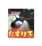 sora0119（個別スタンプ：31）