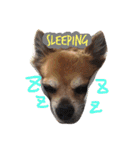 love baby*4（個別スタンプ：12）