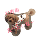 たむらこむぎ（個別スタンプ：2）