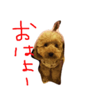 たむらこむぎ（個別スタンプ：4）