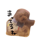 たむらこむぎ（個別スタンプ：5）