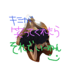 愉快なくまちゃんズ♡（個別スタンプ：11）
