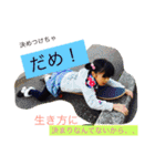 愉快なくまちゃんズ♡（個別スタンプ：14）