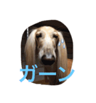 我が家の娘達スタンプです（個別スタンプ：4）