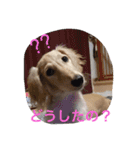 我が家の娘達スタンプです（個別スタンプ：6）