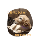 我が家の娘達スタンプです（個別スタンプ：7）