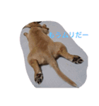 我が家の娘達スタンプです（個別スタンプ：10）