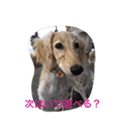 我が家の娘達スタンプです（個別スタンプ：14）