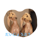 我が家の娘達スタンプです（個別スタンプ：16）