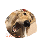 我が家の娘達スタンプです（個別スタンプ：17）