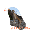 我が家の娘達スタンプです（個別スタンプ：20）