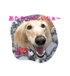 我が家の娘達スタンプです（個別スタンプ：21）
