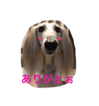 我が家の娘達スタンプです（個別スタンプ：23）