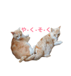 にゃんたちにゃんたち2（個別スタンプ：18）