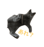 自由猫まりも（個別スタンプ：18）