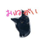 Kitten in black cat（個別スタンプ：2）