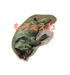 我が家のマロンちゃん（個別スタンプ：15）