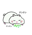 ハムスターのギムーくん（個別スタンプ：21）