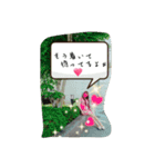 姫にゃんにゃんさん（個別スタンプ：10）