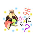 boy's2men6（個別スタンプ：8）