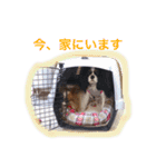 マメとあずき 2（個別スタンプ：6）