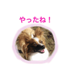 マメとあずき 2（個別スタンプ：12）