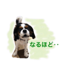 マメとあずき 2（個別スタンプ：20）