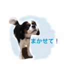 マメとあずき 2（個別スタンプ：27）