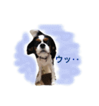 マメとあずき 2（個別スタンプ：29）