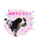 マメとあずき 2（個別スタンプ：31）