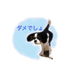 マメとあずき 2（個別スタンプ：39）