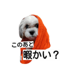 犬の愛（個別スタンプ：8）