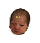 こーちゃん丸（個別スタンプ：6）