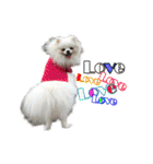 Vocab love love V.1（個別スタンプ：11）