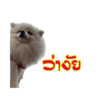 Vocab love love V.1（個別スタンプ：17）