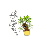 幸せ木。①（個別スタンプ：10）