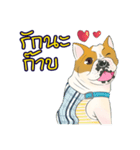 Moowhan Bulldog（個別スタンプ：6）