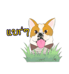 Moowhan Bulldog（個別スタンプ：8）