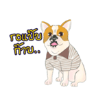 Moowhan Bulldog（個別スタンプ：9）