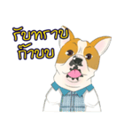 Moowhan Bulldog（個別スタンプ：14）