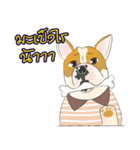 Moowhan Bulldog（個別スタンプ：21）