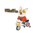 Moowhan Bulldog（個別スタンプ：24）