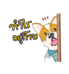 Moowhan Bulldog（個別スタンプ：29）
