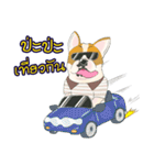 Moowhan Bulldog（個別スタンプ：31）