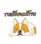 Moowhan Bulldog（個別スタンプ：33）