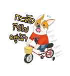 Moowhan Bulldog（個別スタンプ：37）