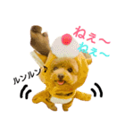 トイプードルのプティー（個別スタンプ：32）
