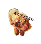 小さなトイプードルまりん（個別スタンプ：21）