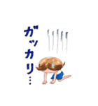 かめちゃん。（個別スタンプ：10）