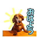 ななといっしょ（個別スタンプ：13）